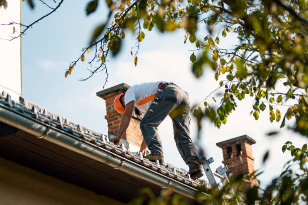 Best Slate Roofing Contractor  in North Logan, UT