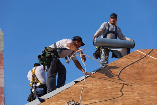 Best Storm Damage Roof Repair  in North Logan, UT